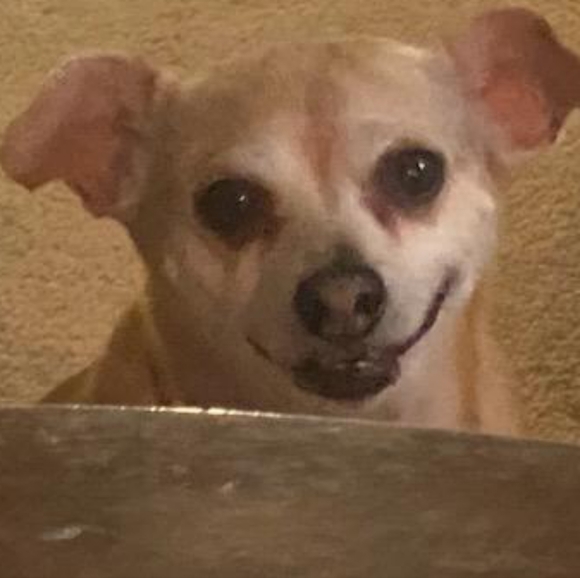 Meet your Posher, Sheri - Picture 2 of 6